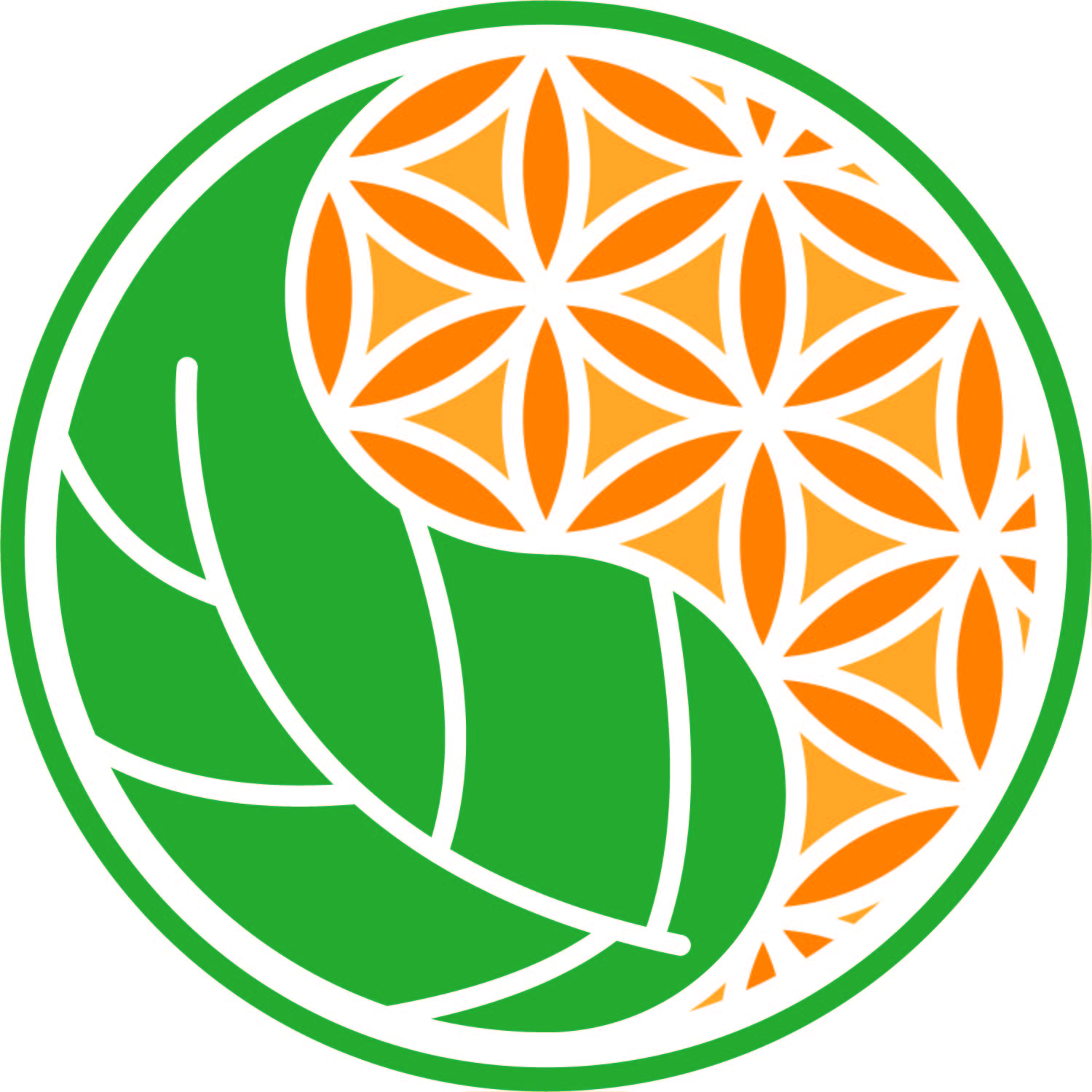 Headway Health_Image_Color