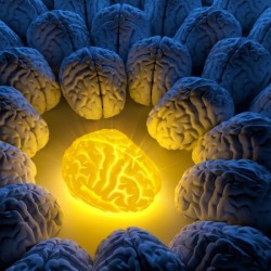 brain among brains brain among brains