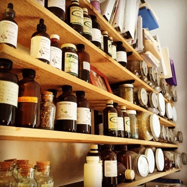 herbs herbs