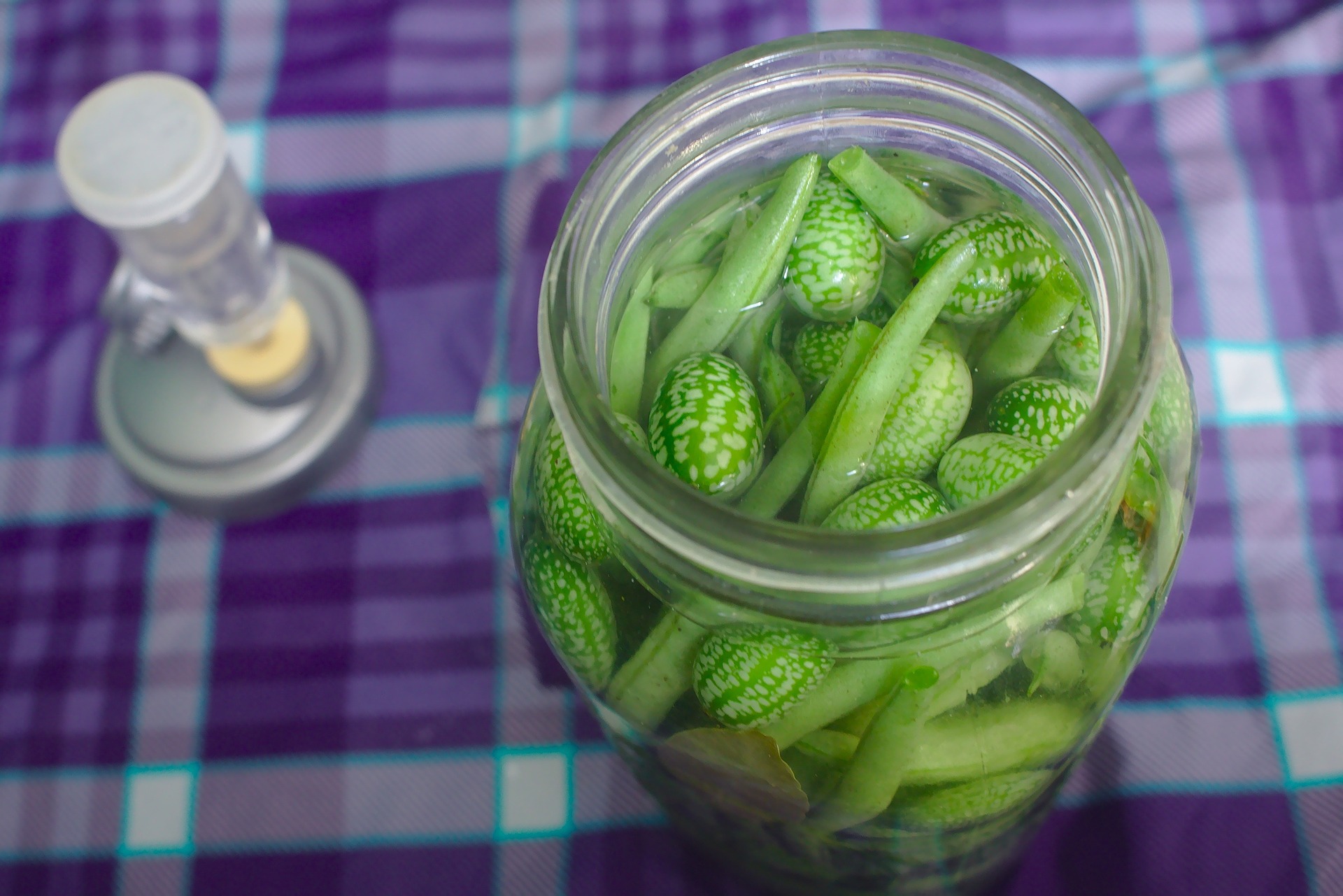 lacto-fermentation-861551_1920